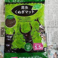 昆虫　くぬぎマット