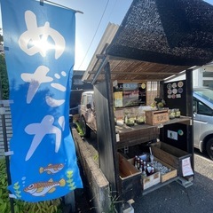 上原メダカ　お盆キャンペーン