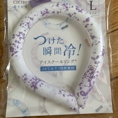 未開封　熱中症対策2点セット　軽量首かけ扇風機　アイスクリーンリンクの画像