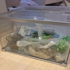 決まりました⭐︎水槽セットの画像