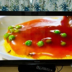 46型のパナソニックビエラ製のプラズマテレビ