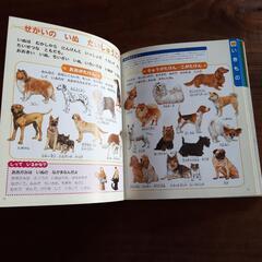 知育絵本　4歳のえほん百科の画像