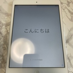 iPad mini