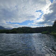 はくしゅうの画像