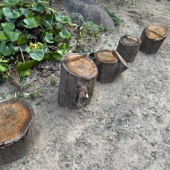 木材無料でお譲りいたします