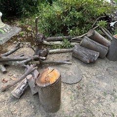 木材無料でお譲りいたしますの画像