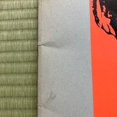 ドミノツアー　パンフレットの画像