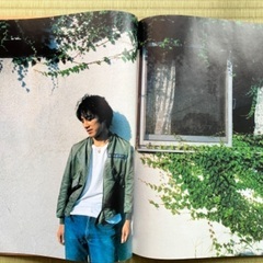 ドミノツアー　パンフレットの画像