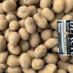 小粒ジャガイモ（十勝こがね）②