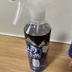シャツヒエールの画像