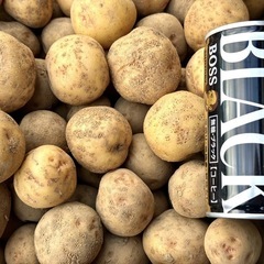 小粒ジャガイモ（きたあかり）②