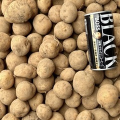 ジャガイモ（とうや）小芋　約3kg①
