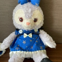 【美品‼️】ディズニー　ステラルー　ぬいぐるみ　着せ替え服　2セット⭐︎ コスチュームの画像
