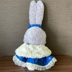 【美品‼️】ディズニー　ステラルー　ぬいぐるみ　着せ替え服　2セット⭐︎ コスチュームの画像