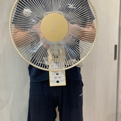 【TOYOTOMI】壁掛け扇風機