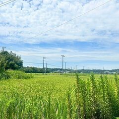 ★★ DIYや古民家再生がしたい！古民家付物件 ★★ - 不動産