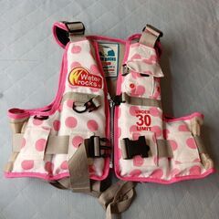 海セット ライジャケ、足ヒレ の画像