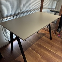 TROTTEN トロッテン（IKEAデスク）