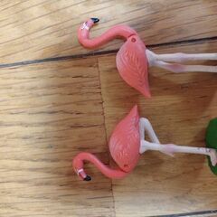 フラミンゴ　アニア　動物　おもちゃの画像