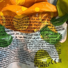 【美品】値下げ！INTEX 　屋根付きプールの画像