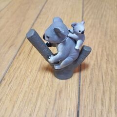 コアラ　アニア　動物　