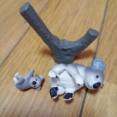 コアラ　アニア　動物　の画像