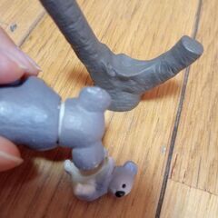 コアラ　アニア　動物　の画像