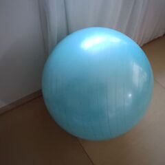 バランスボール差し上げます