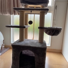 キャットタワーの画像