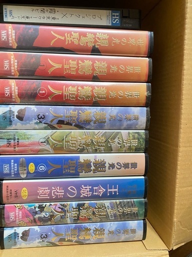 世界の光親鸞聖人