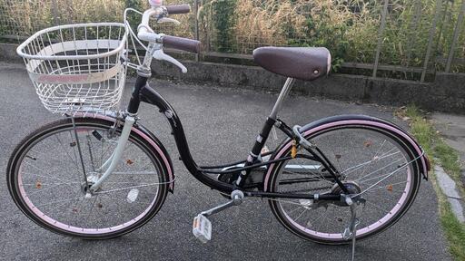 子供用自転車　Excellent Voyage　22インチ