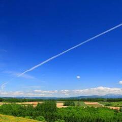 旅行好き🌻海外好きな方✈️