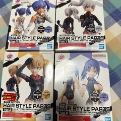 オプションヘアパーツ