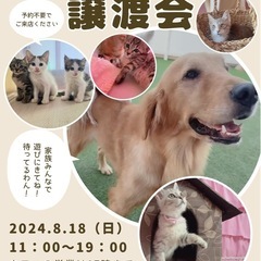 💐🌺　譲渡会をします　🌺💐