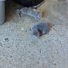 引渡し完了 ありがとうございました