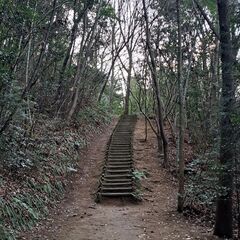 最近佐世保に来ましたので友達を作りたいです！ − 長崎県