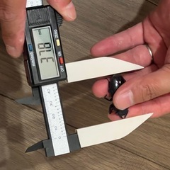 本土ヒラタクワガタの画像