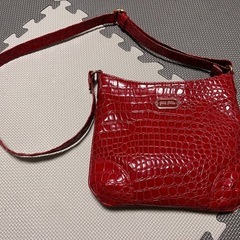 Folli Follie フォリフォリ　ハンドバック