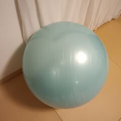 バランスボール差し上げます。