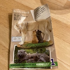 旭山動物園◆カプセルズー　シンリンオオカミ　の画像