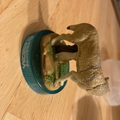 旭山動物園◆カプセルズー　シンリンオオカミ　の画像