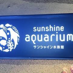 サンシャイン水族館　前売券　大人