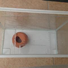 水槽ですが。