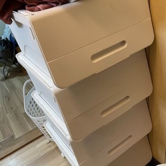 【受渡し者決定】 9月の第4週にとりに来られる方　11