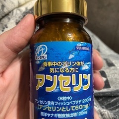ミナミヘルシーフーズ アンセリン 240粒入 約30日分　プリン...