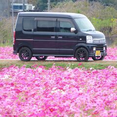 ☆☆一緒に冒険しましょう！　詳細はメールのやりとりで！！