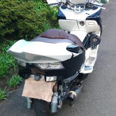フォルツァZ　MF10　(No.2181)の画像