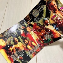 プロレスファン必見❗️矢野通プロデュース『CHAOS』＆気仙沼二郎『海の魂』の画像