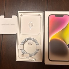 純正iPhone   Lightning変換タイプC