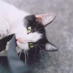 誰かとカラオケ行きたい人募集( ･ิω･ิ)
